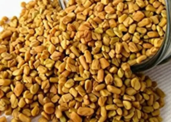 बढ़ती उम्र में फिट रहने के लिए जानें मेथी दाना के 11 फायदे