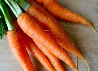 पोषक तत्वों से भरपूर है गाजर