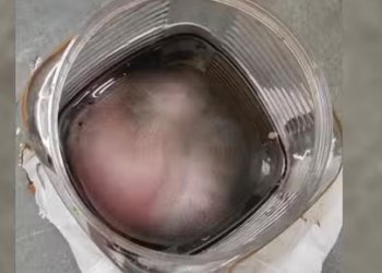 लखनऊ एयरपोर्ट पर मिला नवजात का शव, मचा हड़कंप