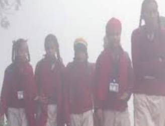 यूपी में शीतलहर का कहर : 8वीं तक के सभी स्कूल बंद हुए