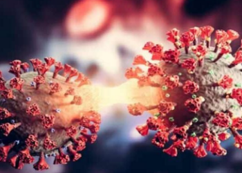 कर्नाटक, तमिलनाडु, गुजरात के बाद महाराष्ट्र में HMPV दी दस्तक